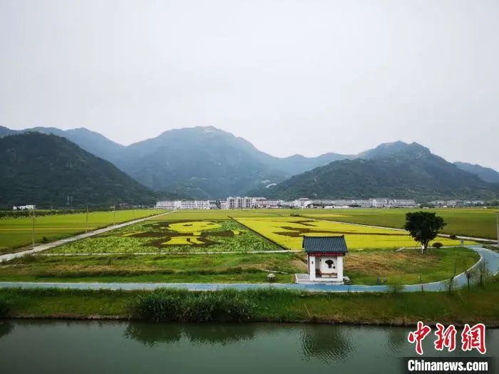 點(diǎn)擊進(jìn)入下一頁 點(diǎn)擊進(jìn)入下一頁